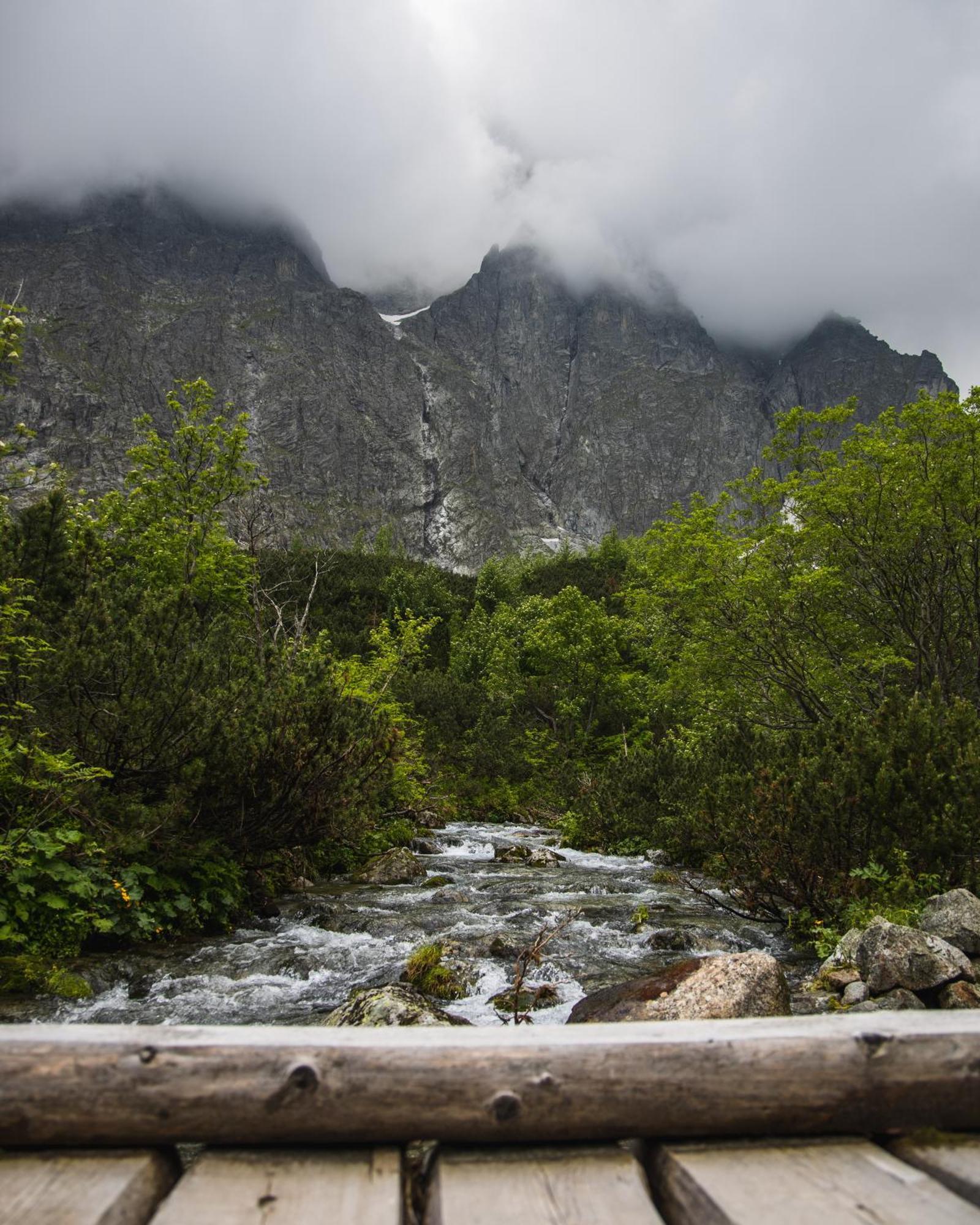 Apartmany Lesy A Luky - V Srdci Tatier Vysoké Tatry Buitenkant foto