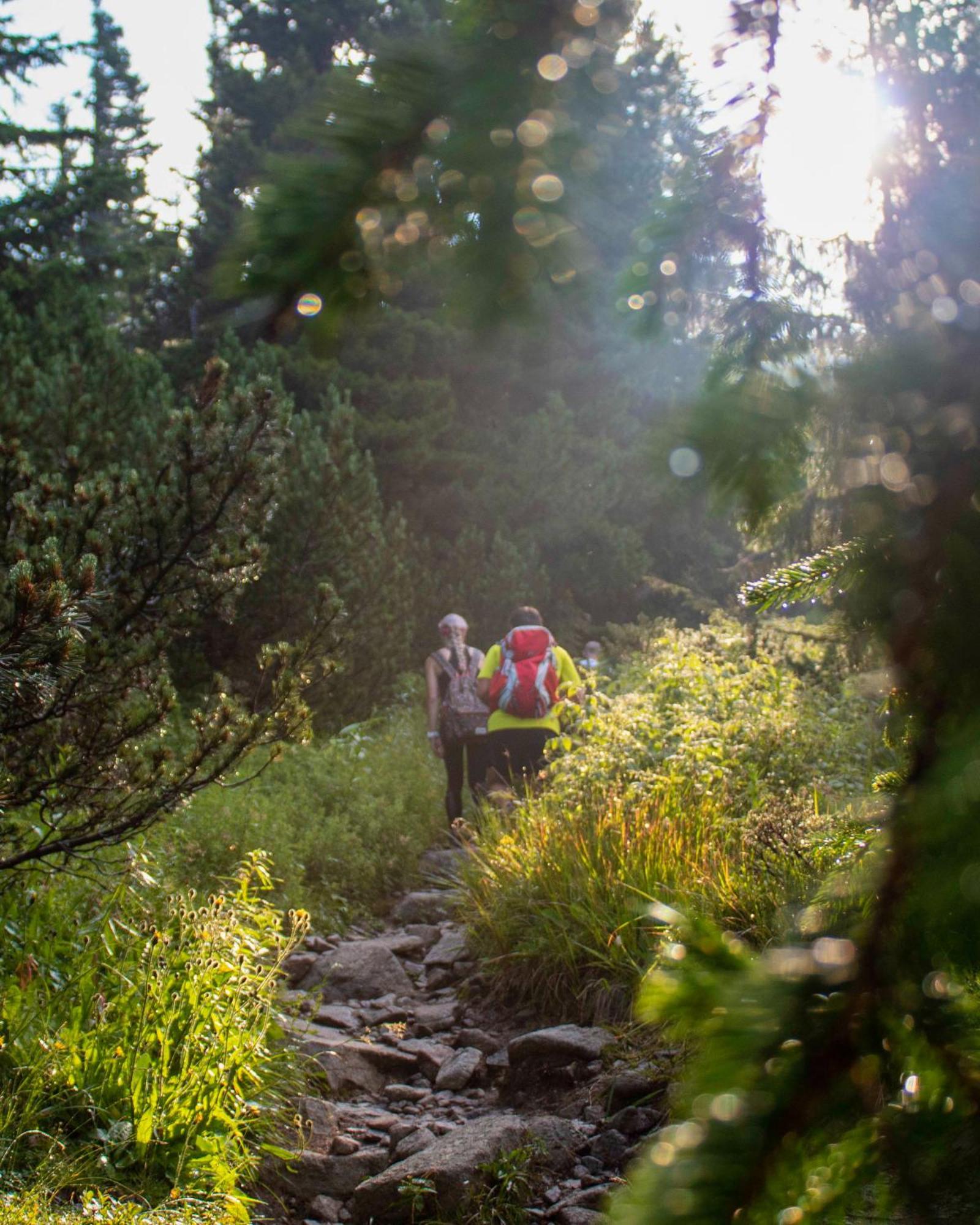 Apartmany Lesy A Luky - V Srdci Tatier Vysoké Tatry Buitenkant foto