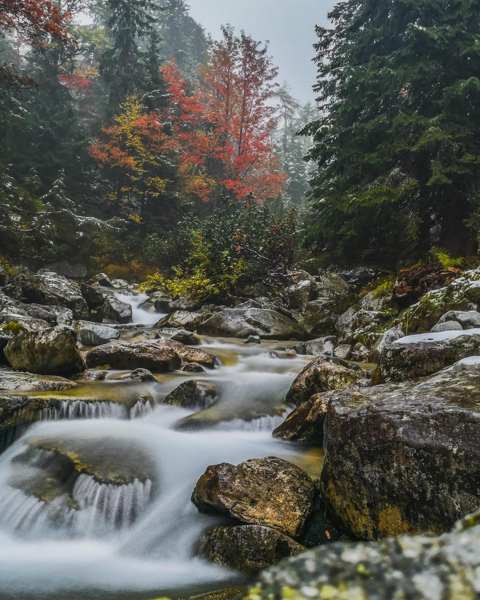 Apartmany Lesy A Luky - V Srdci Tatier Vysoké Tatry Buitenkant foto