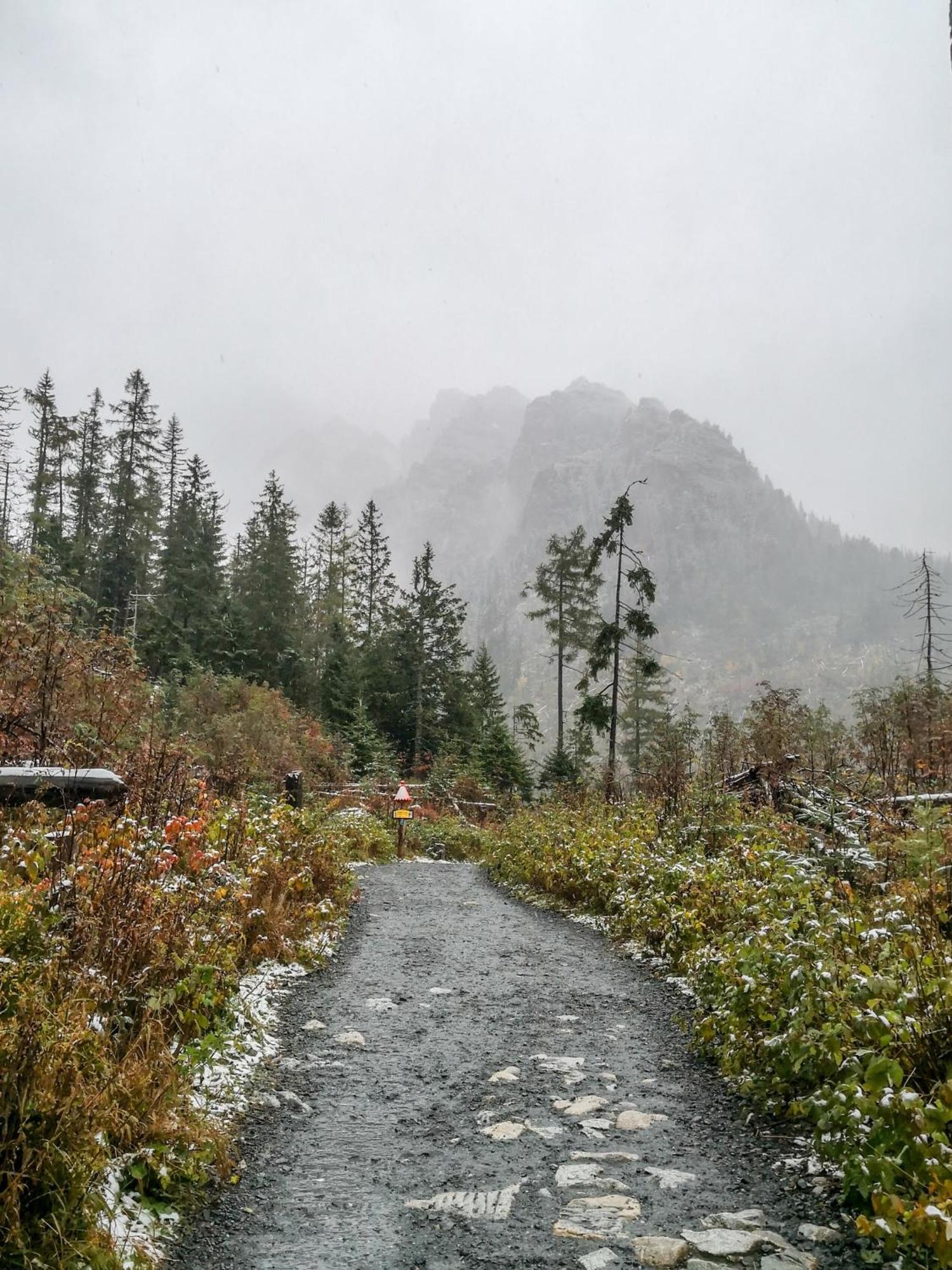Apartmany Lesy A Luky - V Srdci Tatier Vysoké Tatry Buitenkant foto
