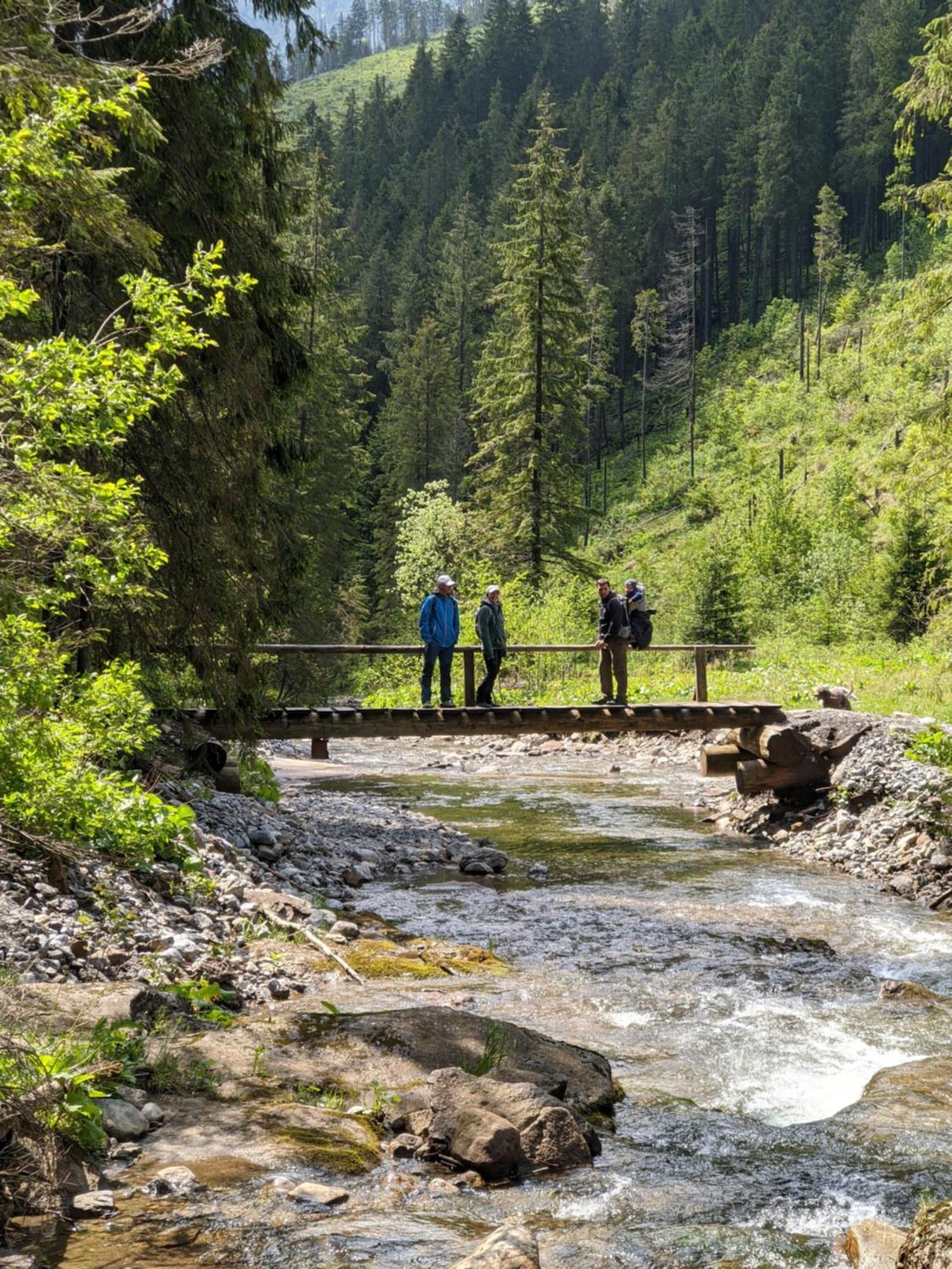 Apartmany Lesy A Luky - V Srdci Tatier Vysoké Tatry Buitenkant foto