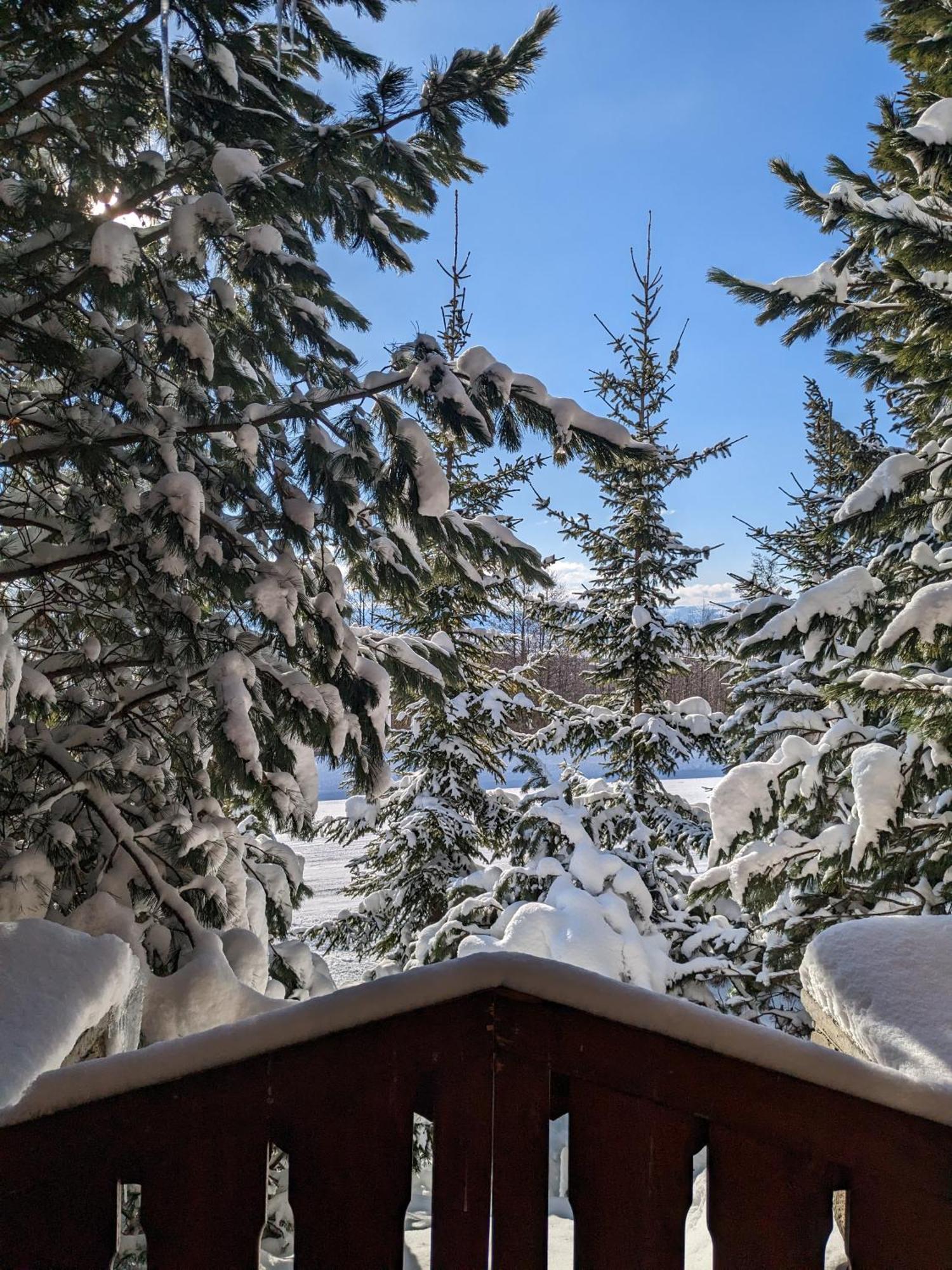 Apartmany Lesy A Luky - V Srdci Tatier Vysoké Tatry Buitenkant foto